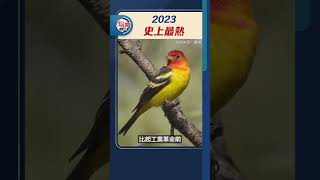 2023　史上最熱