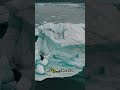 Antarctica could flood half the world