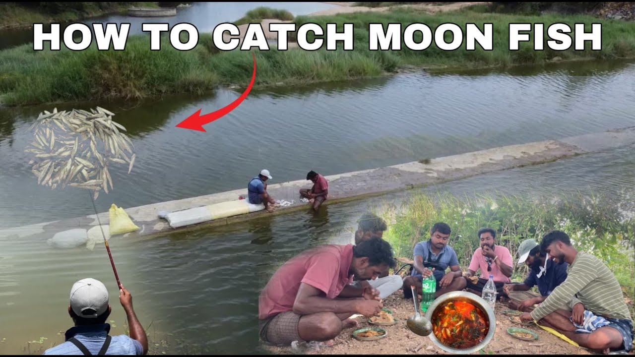 How To Catch Moon Fish చంద మామ చేపలని ఇట్లా తింటే మల్ల మర్చిపోవు మామ bros