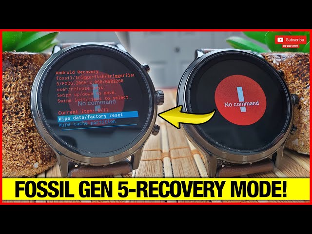 Fossil Gen 5-Recovery Mode Options!