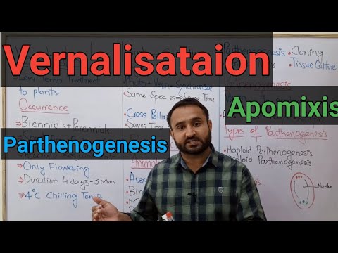 Vernalisataion | Parthenogenesis | Apomixis | Asexual Reproduction in Animals | Class 12 Biology