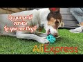 Probando productos de AliExpress para perros - Lo que pedí versus lo que llegó