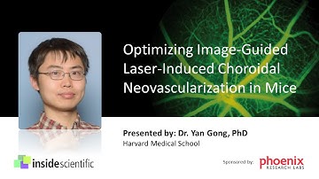 Optimizing Image-Guided Laser-Induced Choroidal Neovascularization in Mice