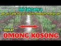 Bukan Omong Kosong,, Ini Fakta Di Lapangan..!! || wajib tau hal ini sebelum menanam cabai