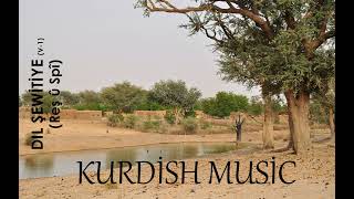DIL ŞEWİTİYE (V-1) (Reş û Spî)