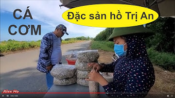 KHÁM PHÁ HỒ TRỊ AN TẬP 1: CÁ CƠM HỒ TRỊ AN