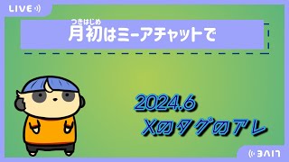 【雑談】月初はミーアチャットで【#2 タグのやつ】