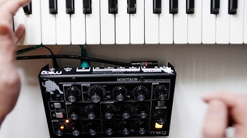Moog Minitaur (messing with)