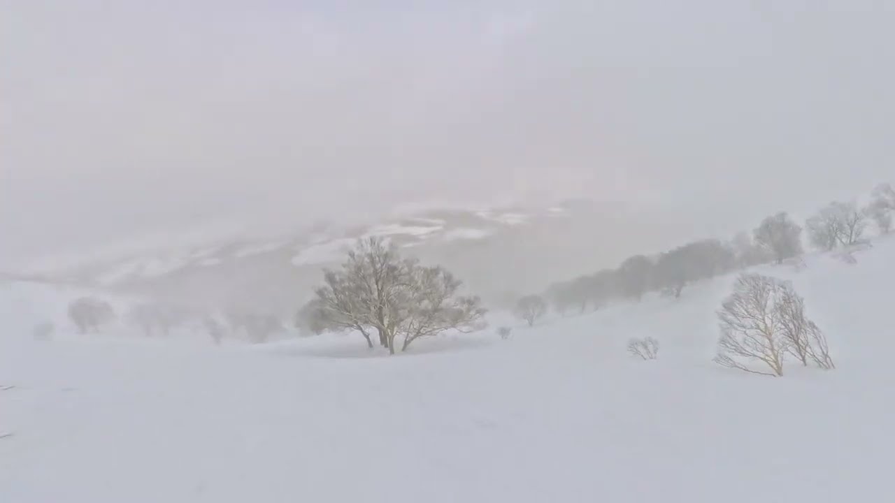 tsugaruzuke2026.02.28 八甲田　雛岳