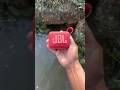 JBL go4 dropped in deep water