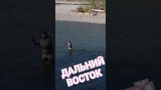Дальний восток. #таймень  Найти тайменя, поймать, отпустить и снять на видео - чётко! 😃👍