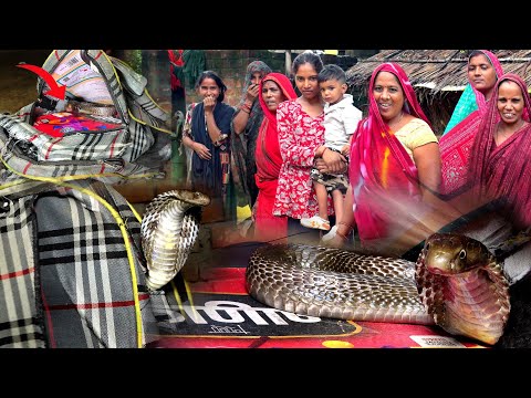 इस वीडियो को देखकर आप भी हो जाए सावधान, कोबरा सांप को बच्चे के बैग से बाहर कैसे निकाला गया!😱🐍Snake