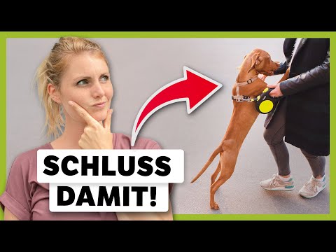 ANSPRINGEN abgewöhnen: So