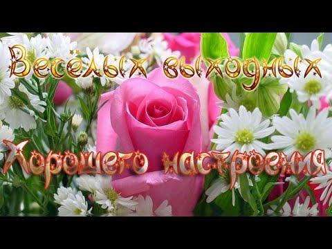 Пожелания хорошего дня! Прекрасного настроения! Отличных выходных! Позитив на весь день! Открытка!