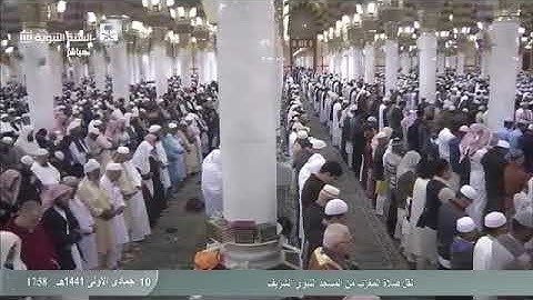 تلاوة هادئة تريح القلوب وتريح النفوس للشيخ صلاح البدير