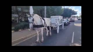 Final Farewell Funeral Carriage Carl C Burnett FH Judea Baptist Church Hempstead NY Sept 3 2021