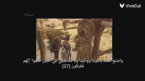 من سورة هود ❤️