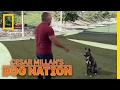Learning Control | Cesar Millan's Dog Nation