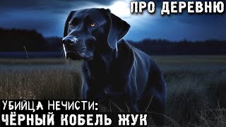 видео: ЧЁРНЫЙ КОБЕЛЬ ЖУК (У6ийца Нечисти) - Деревенская История картинка: ЧЁРНЫЙ КОБЕЛЬ ЖУК (У6ийца Нечисти) - Деревенская История