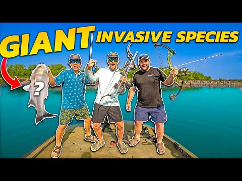 2v2 BOW FISHING Catch Clean Cook CHALLENGE! ( INVASIVE SPECIES )