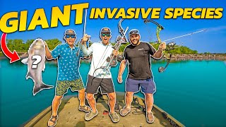2v2 BOW FISHING Catch Clean Cook CHALLENGE! ( INVASIVE SPECIES )