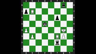 Ildar Ibragimov(2602) vs Aleksander Wojtkiewicz(2570) | Event: Geneve op | 1999.01.28