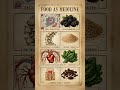 Nature’s Blueprint | 4 Whole Foods That Mirror Your Organs #shortsfeed #shortvideo #foodasmedicine