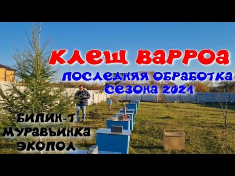 Видео: Обзор продукта: Kurgo Skipping Stones [Видео]