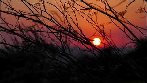 M-Eject - Hello Strange Podcast 🇺🇦 [Atmo/Dub Techno]