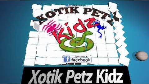 Intro Video - Created using Flixpress.com