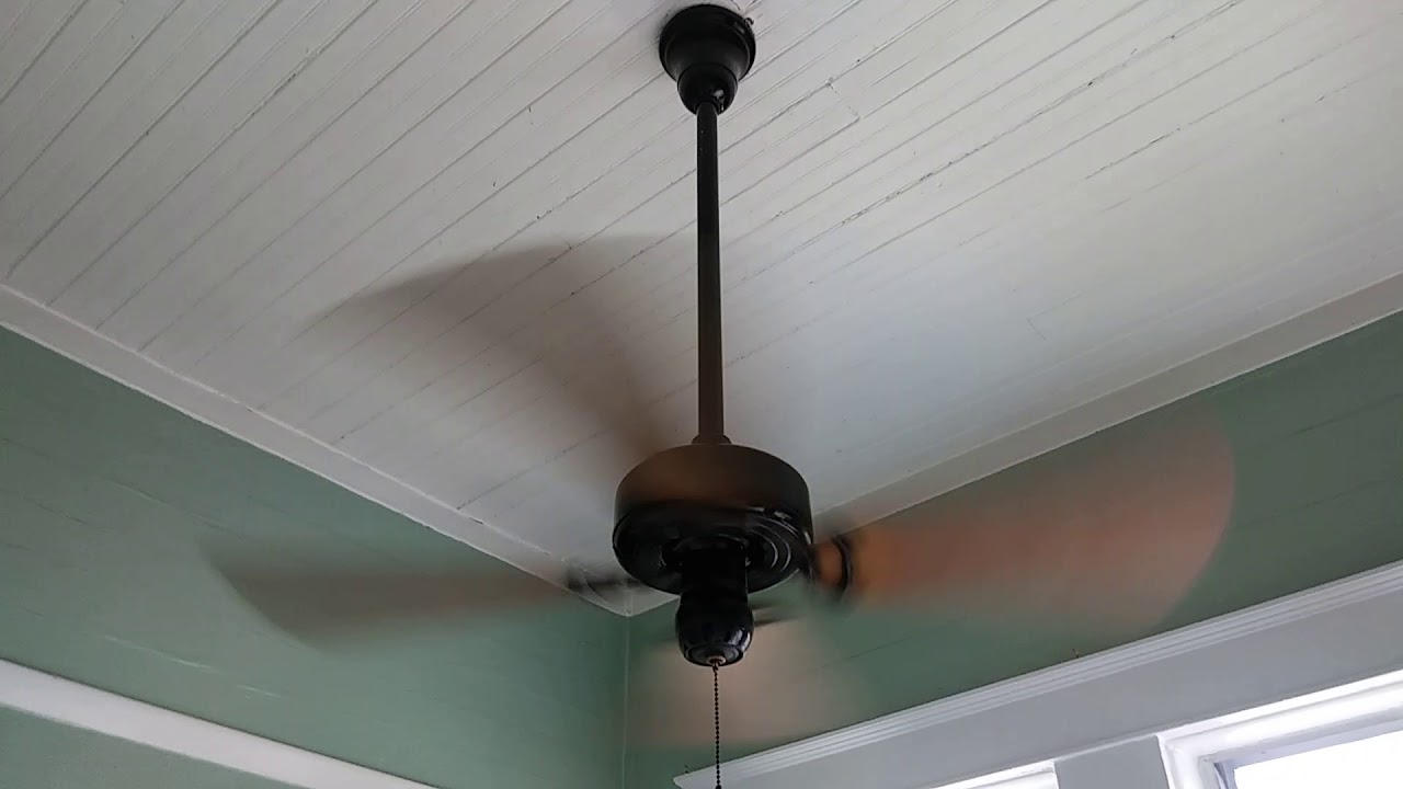 Hunter 36 inch ceiling fan YouTube
