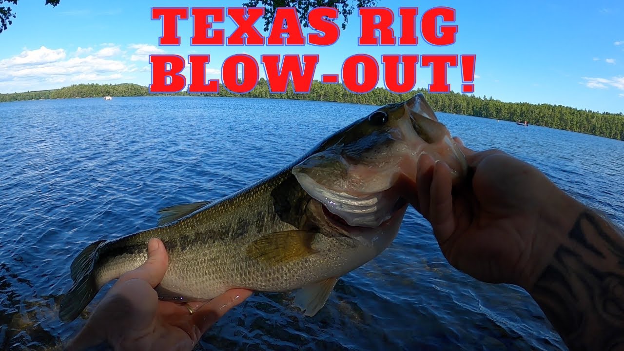 Texas Rig Lake St Maine Bass Fishing YouTube