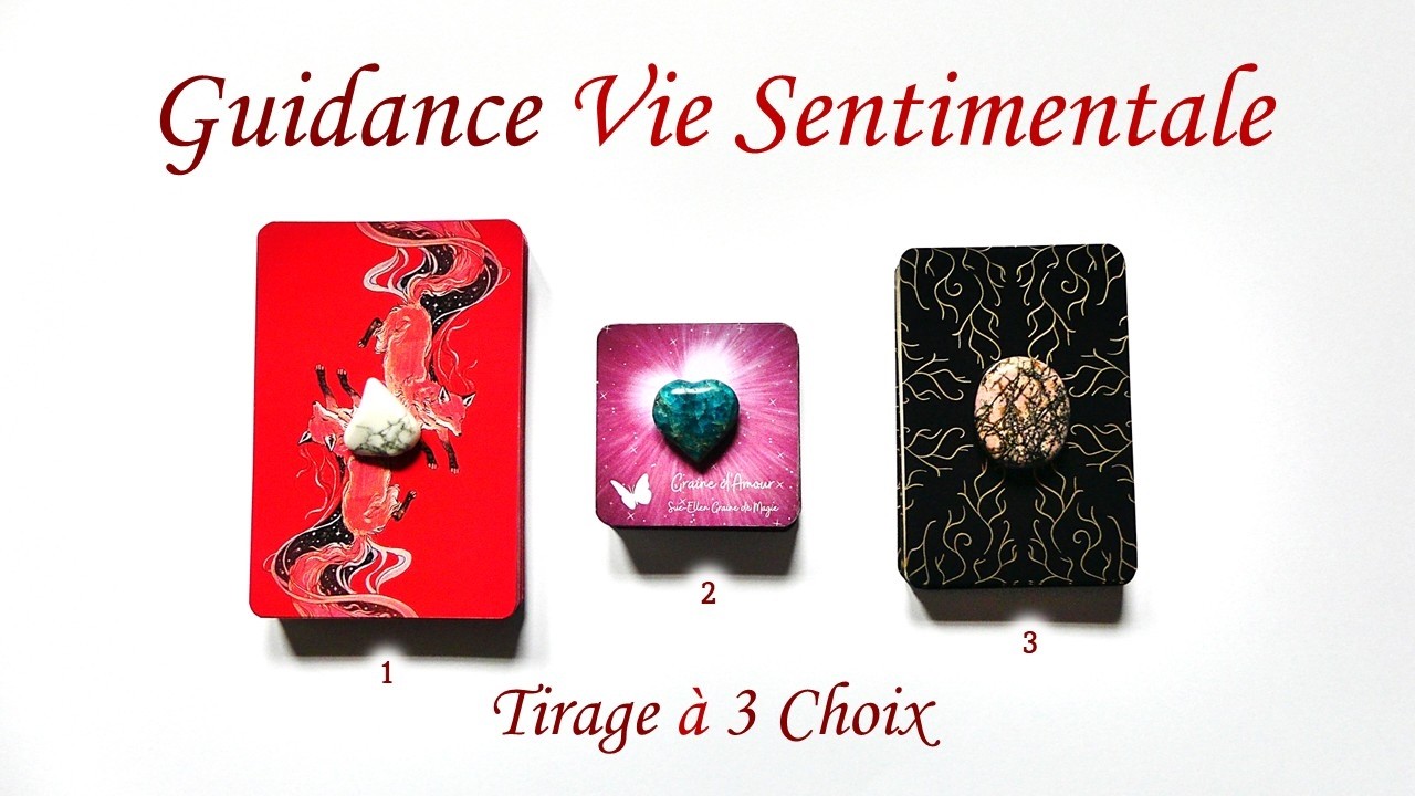 Guidance du moment pour votre Vie Sentimentale - Tirage à 3 choix❤️🩷🖤