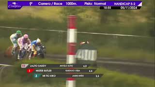 Vidéo de la course PMU PRIX ZAITUN