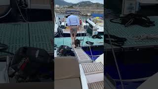 Hesitant Dog Takes Plunge From Boat Ladder At Port