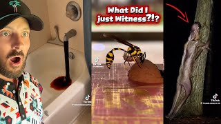 Disturbing discoveries that left me speechless