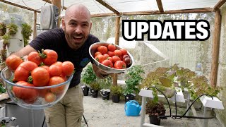 Updates and Things To Come