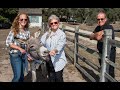 Laura stinchfield the pet psychic  talks with eli a rescued wild donkey