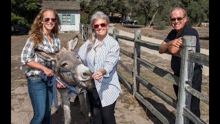 Laura Stinchfield, The Pet Psychic ®, talks with Eli, a rescued wild donkey.