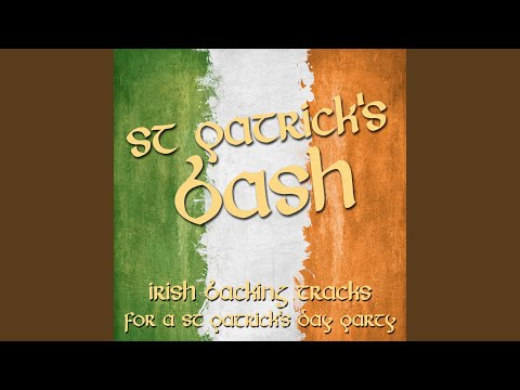 The Professionals - The Irish Rover (Instrumental)