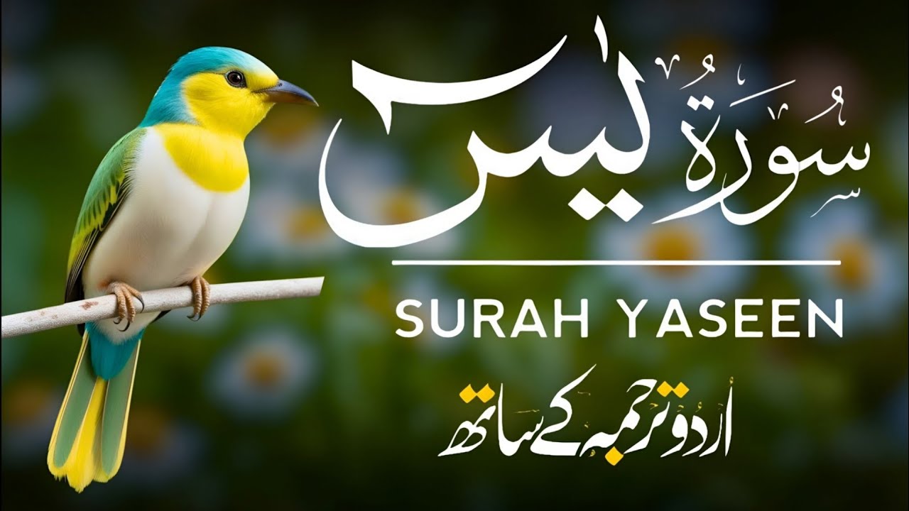 Surah Yaseen | Surah Yaseen With Urdu Translation | Episode - 676