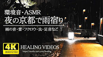 癒しの映像集