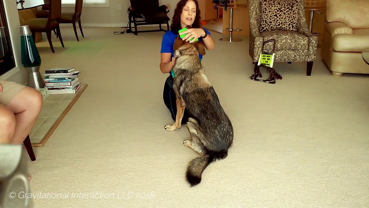 2 Cross Fiber Dog Massage for Health, Help Reduce Pain, Anxiety, Hip Arthritis While Bonding