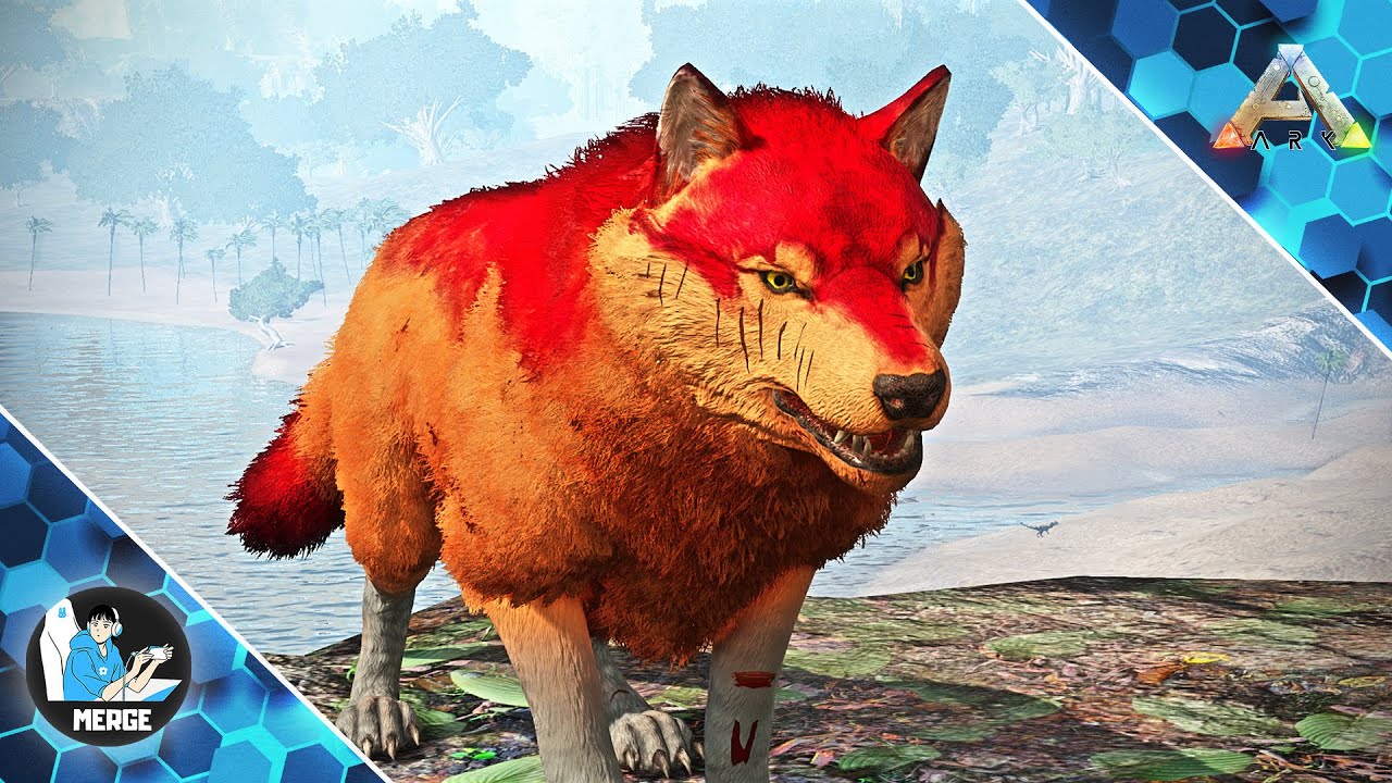 Am Facut Cel Mai BUN Direwolf! | Ark #16