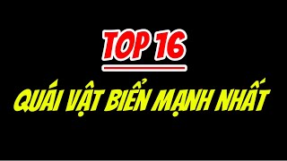 Top 16 Quái vật biển mạnh nhất