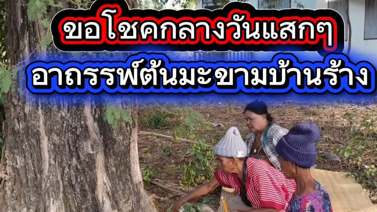 อาถรรพ์ต้นมะขามบ้านร้างยายจ่อยไปเข้าทรงเมื่อมาตัดต่อถึงกับขนลุก