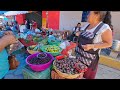Video de Zoquitlán
