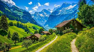 Soothing Sounds for the Soul 🌿 Music to Release Worry \u0026 Sleep Well