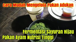 Selamat Tinggal Pakan Pabrikan | Solusi Terbaru Pakan Alternatif Protein Tinggi. 