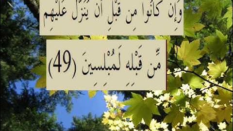 القران الكريم سورة الروم الأية 49.wmv